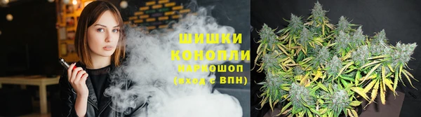 Альфа ПВП Алзамай