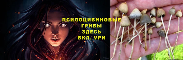 прущие крисы Арсеньев