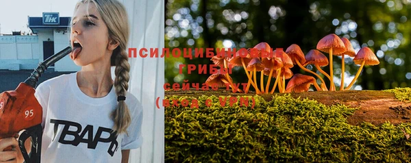 mix Аркадак