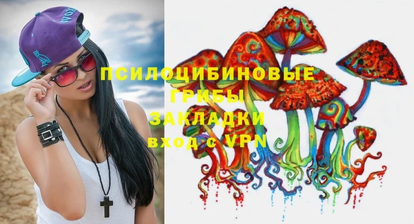 прущие крисы Арсеньев